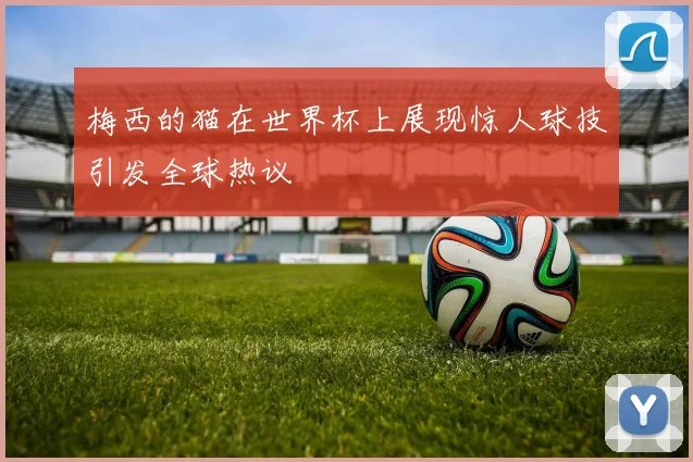 梅西的猫在世界杯上展现惊人球技引发全球热议