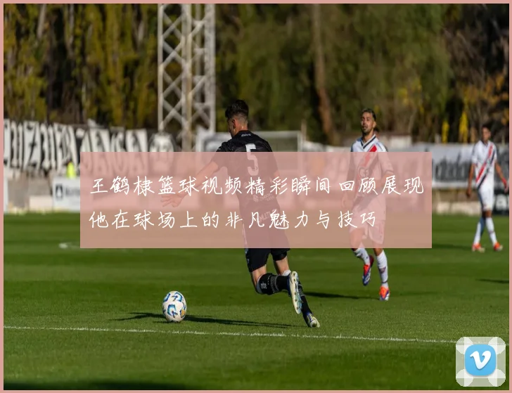 王鹤棣篮球视频精彩瞬间回顾展现他在球场上的非凡魅力与技巧