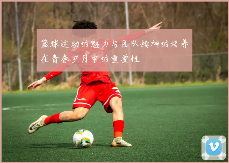 篮球运动的魅力与团队精神的培养在青春岁月中的重要性