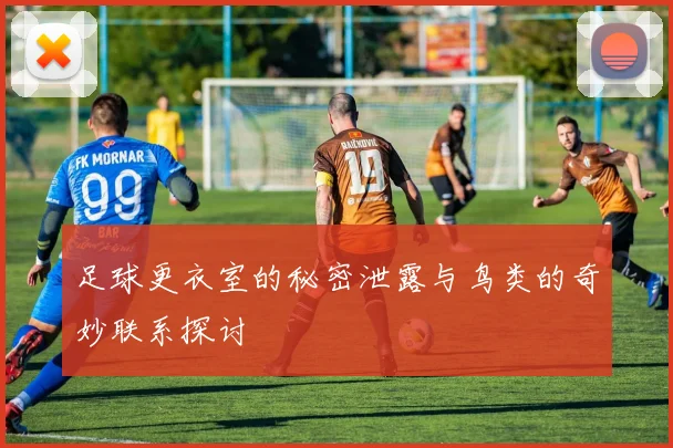 足球更衣室的秘密泄露与鸟类的奇妙联系探讨