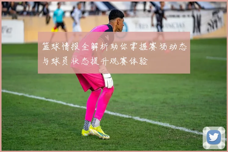 篮球情报全解析助你掌握赛场动态与球员状态提升观赛体验