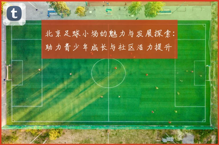 北京足球小场的魅力与发展探索：助力青少年成长与社区活力提升