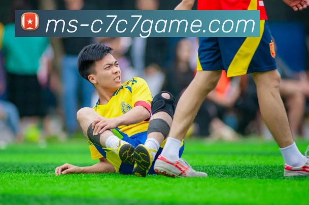 c7游戏下载服务体系